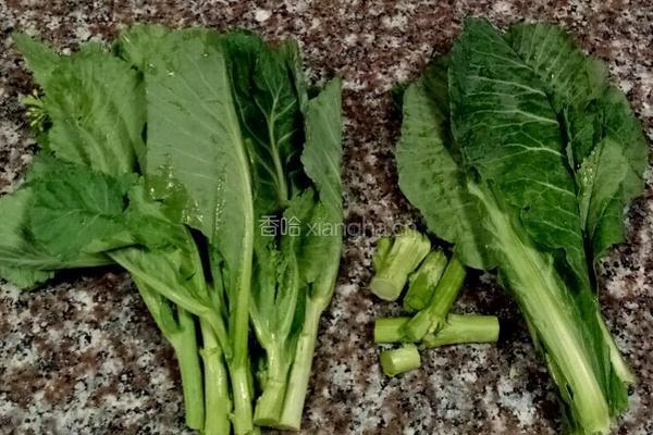 剁椒芥蓝菜的做法图解2