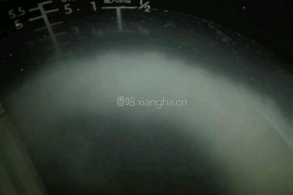 白粥的做法图解4