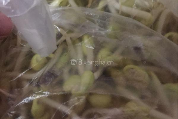 滋啦滋啦水煮牛的做法图解6