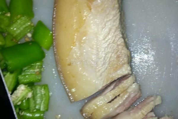 青椒炒肉的做法图解4