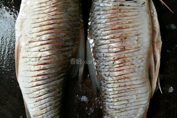 鱼羊酸菜汤的做法图解1