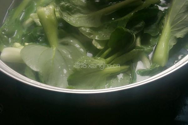 香菇油菜的做法图解4