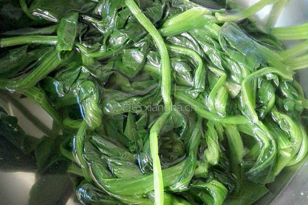 菠菜果仁（花生米）的做法图解5