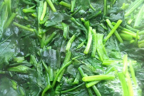 凉拌银耳菠菜的做法图解2
