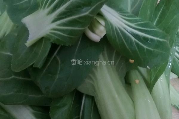 青菜炒扎饼的做法图解2