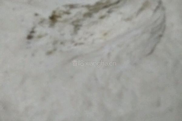 奶香馒头的做法图解4