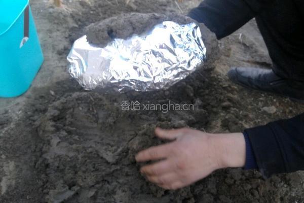 叫花鸡的做法图解4