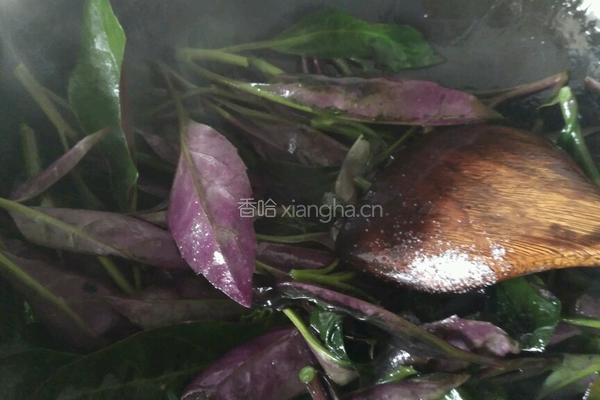 辣椒炒紫背菜的做法图解7