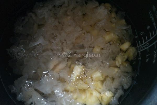 菠萝银耳汤的做法图解5