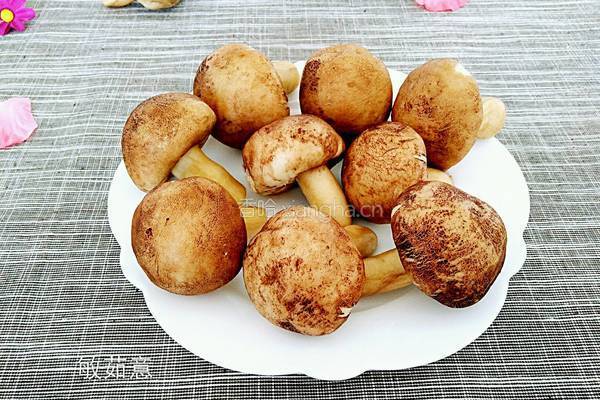 香菇包(红豆沙)的做法图解11