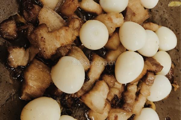 鹌鹑蛋红烧肉的做法图解7
