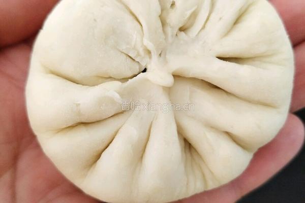 生煎包的做法图解14
