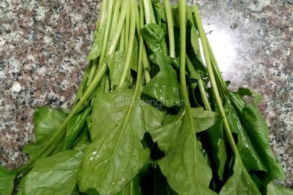 菠菜粥的做法图解4