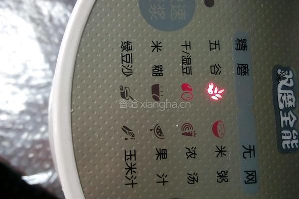 黄豆豆浆的做法图解4