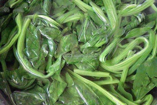 凉拌菠菜粉丝的做法图解1