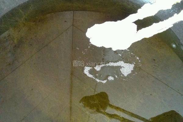 菠萝咕噜肉的做法图解7