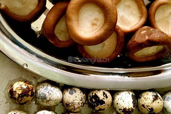 鲍汁金银窝的做法图解1