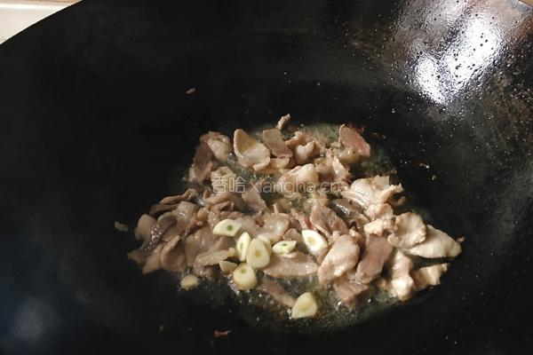胡萝卜炒肉的做法图解5