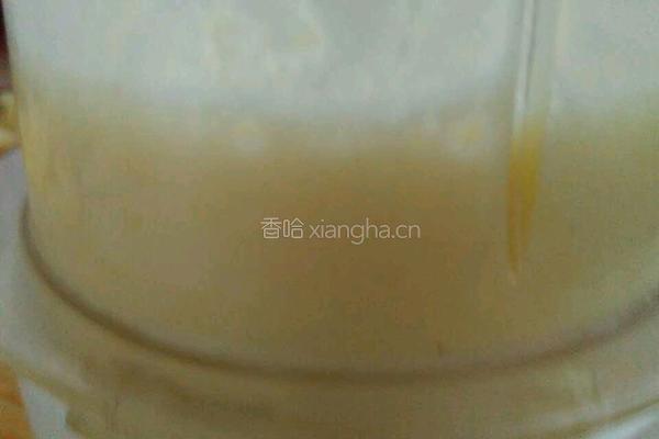 菠萝奶昔的做法图解5