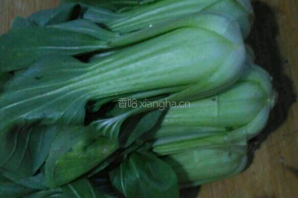 爆炒油菜的做法图解1