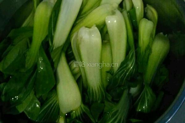 爆炒油菜的做法图解2