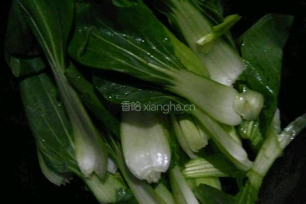 爆炒油菜的做法图解5