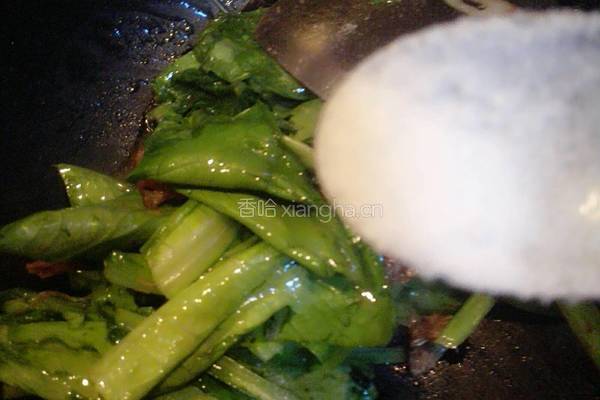 豆豉鲮鱼油麦菜的做法图解8