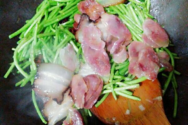 腊味炒泥蒿的做法图解4