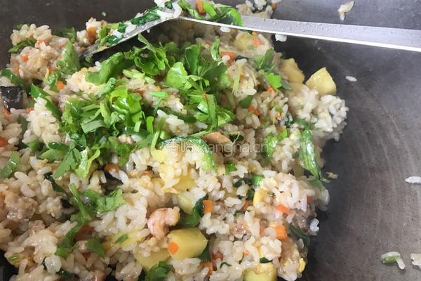 菠萝虾仁蛋炒饭的做法图解18