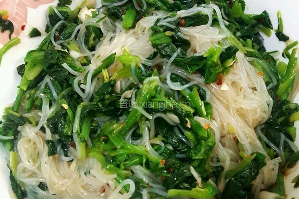 菠菜拌粉丝的做法图解9
