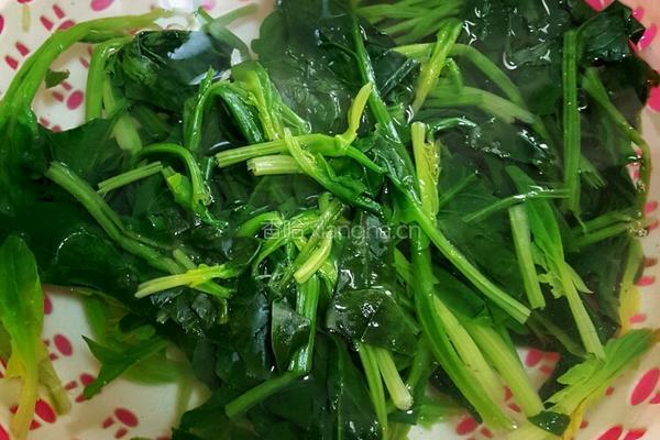 菠菜拌粉丝的做法图解2