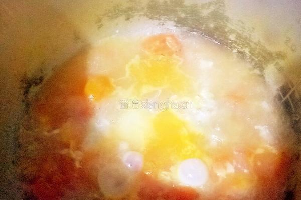 番茄瘦肉鲜汤的做法图解8