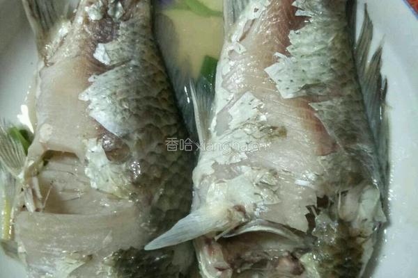 凉拌鲤鱼的做法图解2