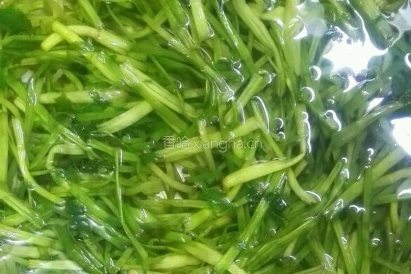 凉拌水芹的做法图解4