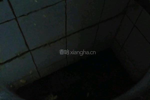 初春的做法图解2