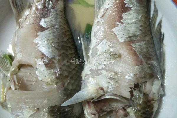 凉拌鲫鱼的做法图解2