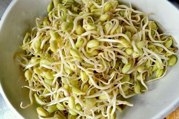 黄豆芽炒肉丝的做法图解1