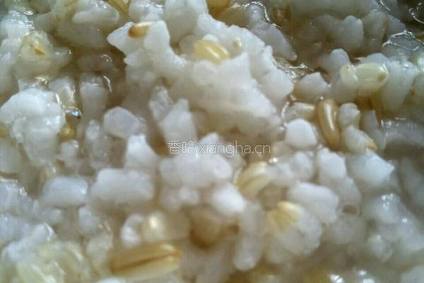 养胃减肥粥的做法图解8