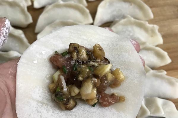 香菇猪肉饺子的做法图解3