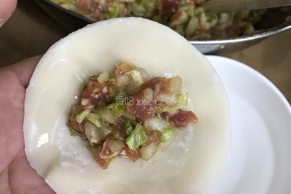 白菜猪肉饺子的做法图解5