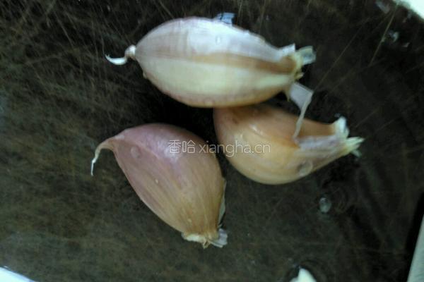 清炒白菜的做法图解2