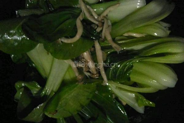 蟹味菇炒油菜的做法图解3