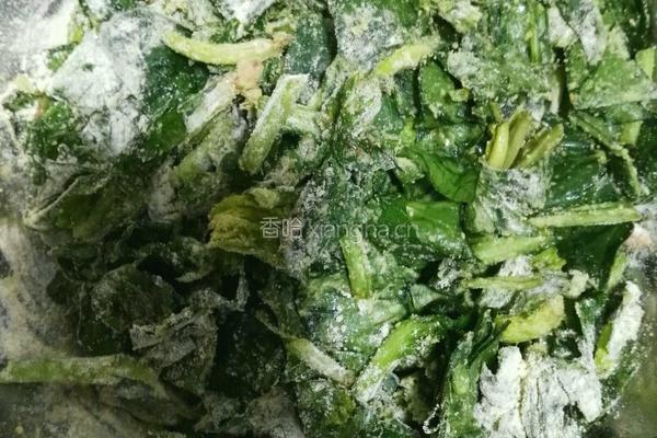 菠菜窝窝头的做法图解1