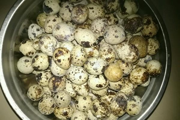 自制卤蛋的做法图解3