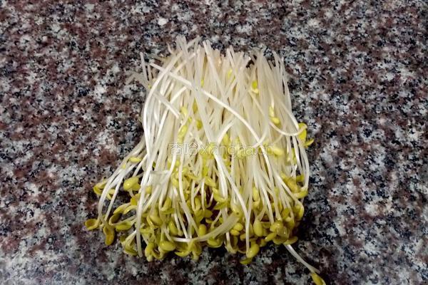 菠菜炒黄豆芽的做法图解1