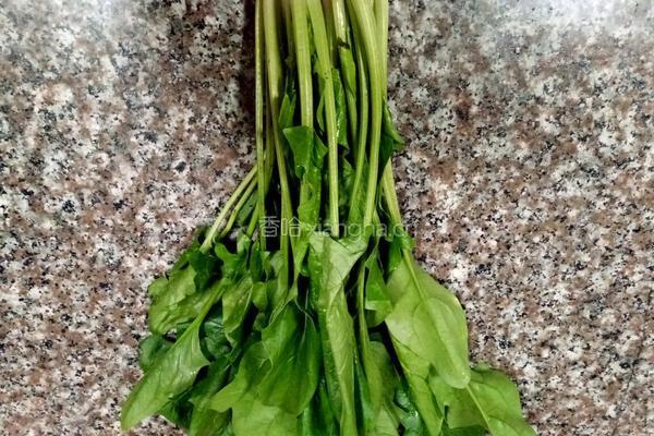 菠菜炒黄豆芽的做法图解3