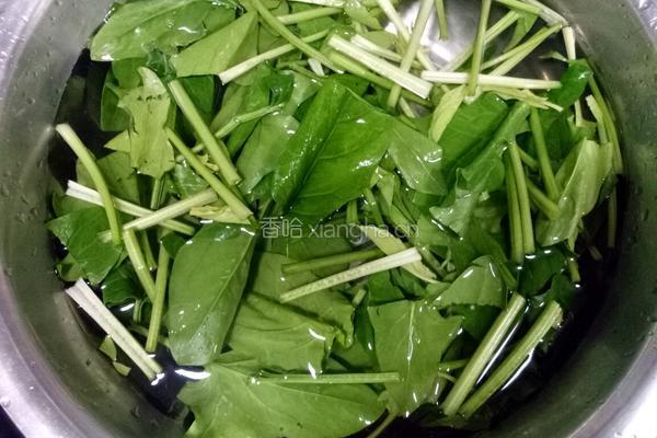 菠菜炒黄豆芽的做法图解4