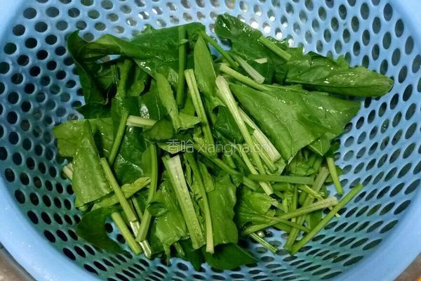 菠菜炒黄豆芽的做法图解5