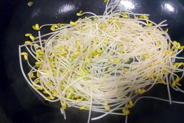 菠菜炒黄豆芽的做法图解9