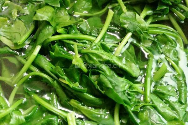 凉拌菠菜的做法图解4
